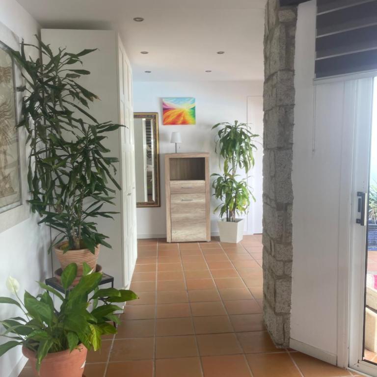Casa Requesens, freiligendes Ferienhaus, komplett erschlossen - Casa de 3 dormitorios - 12