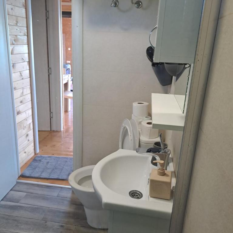 Sojenica Tamara - Kuća sa 2 Spavaće Sobe - 31