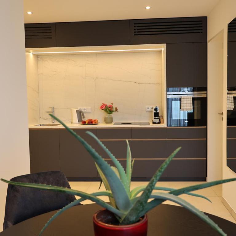 MUNICH FINEST APARTMENTS - Appartement avec Balcon - 11