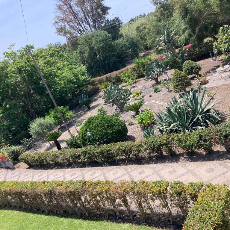 Green paradise with Etna view - Casa con 2 Camere da Letto - 32