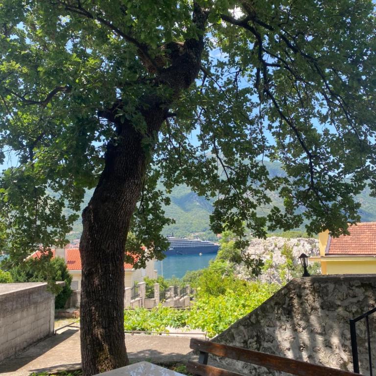 Vasiniko Apartment - Apartman sa 2 Spavaće Sobe - 11