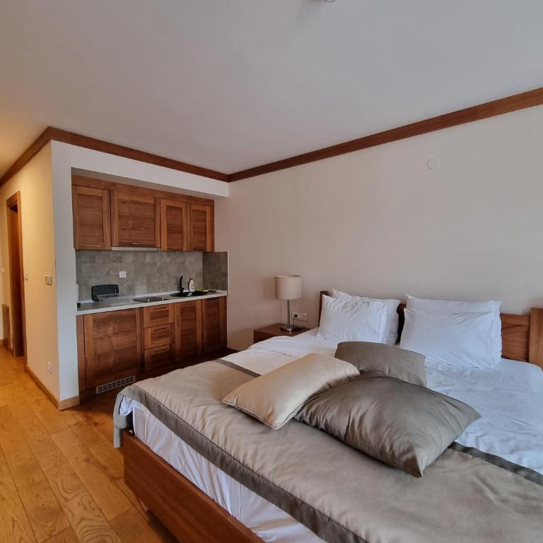 Apartman S-lux privatni app u sklopu hotela Vucko - Deluxe King Studio - 5
