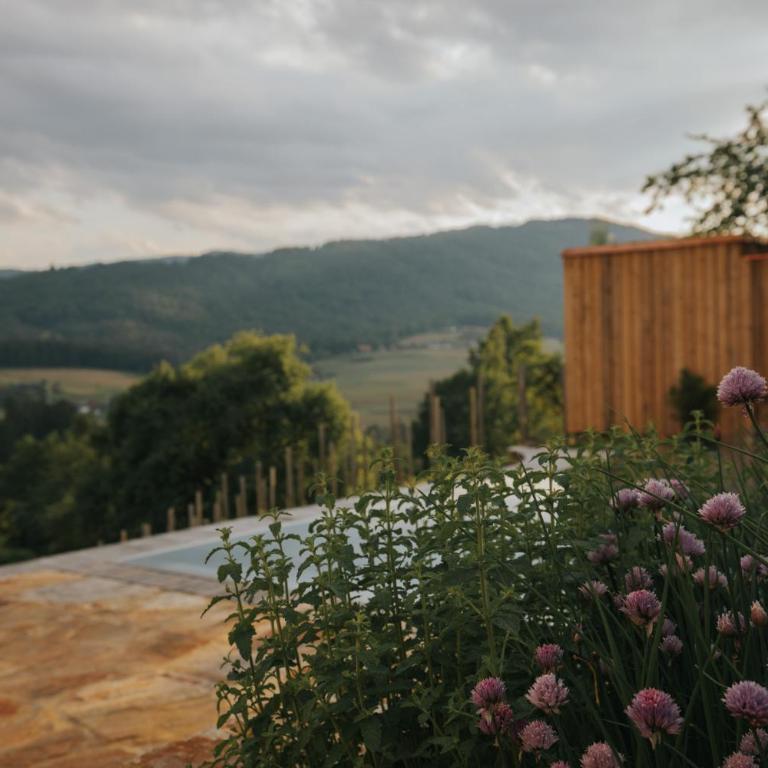 Am Wildbachberg - Luxus Ferienhäuser mit Infinitypool, Privatsauna und Weinkeller - Deluxe Villa - 31