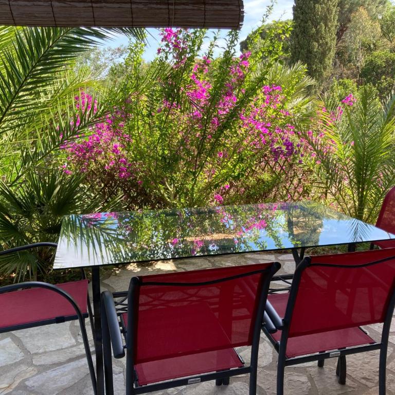 Villa Sanssoucis Les Issambres - Studio (2 Adultes) - 3