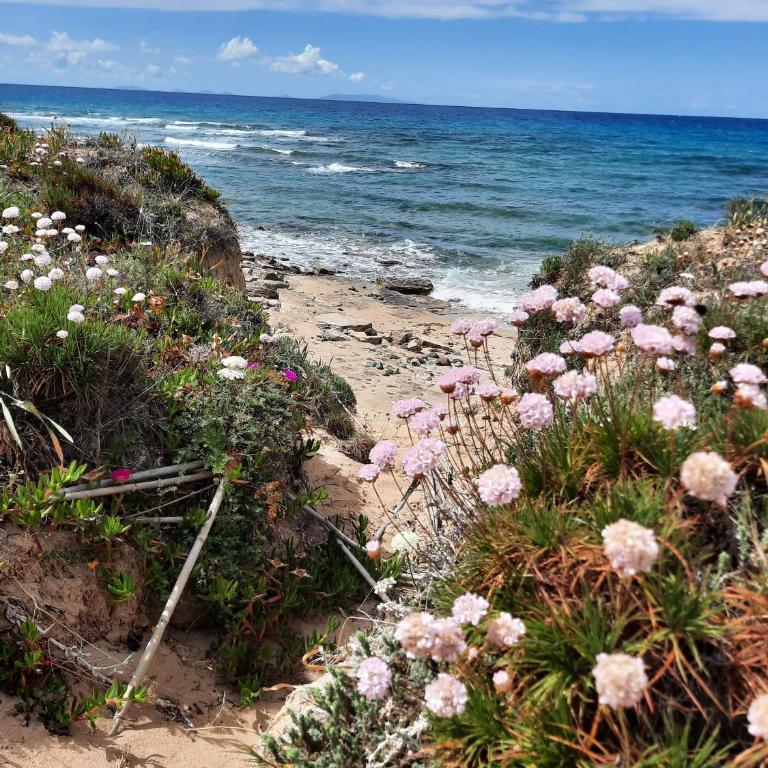 Casa vacanze in Sardegna con giardino e vista mare - Casa con 2 Camere da Letto - 20