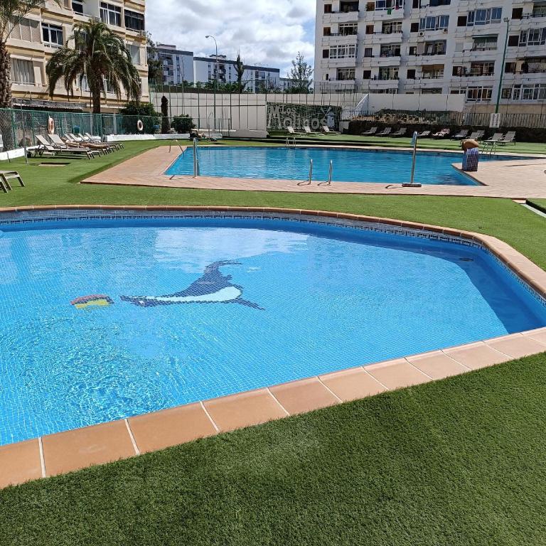Molinos holidays playa del inglés - Apartment with Terrace - 3