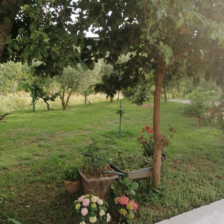 Apartman Petovic - One-Bedroom Apartment - 12
