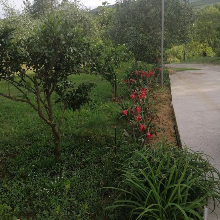 Apartman Petovic - One-Bedroom Apartment - 13