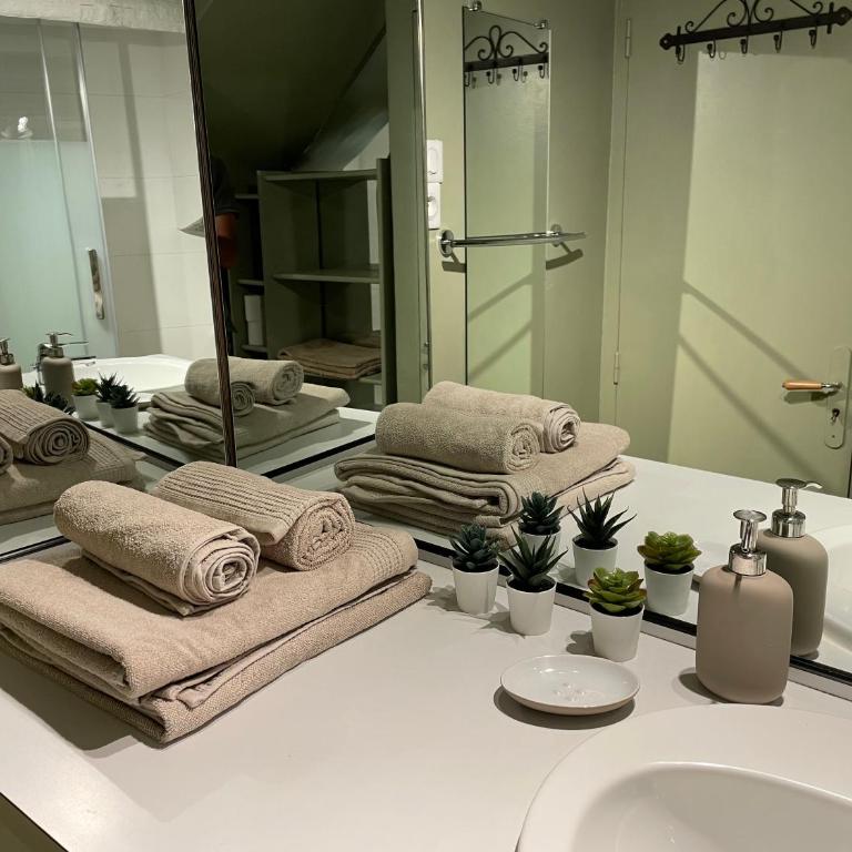 2 pièces climatisé en duplex avec terrasse - Appartement 1 Chambre - 14