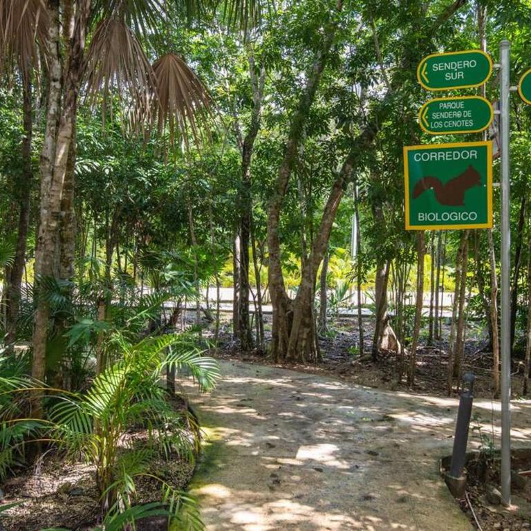 Beautiful 4BR, Up to 8 Guests, Private Pool, 10 min to Beach - Four-Bedroom House - 39