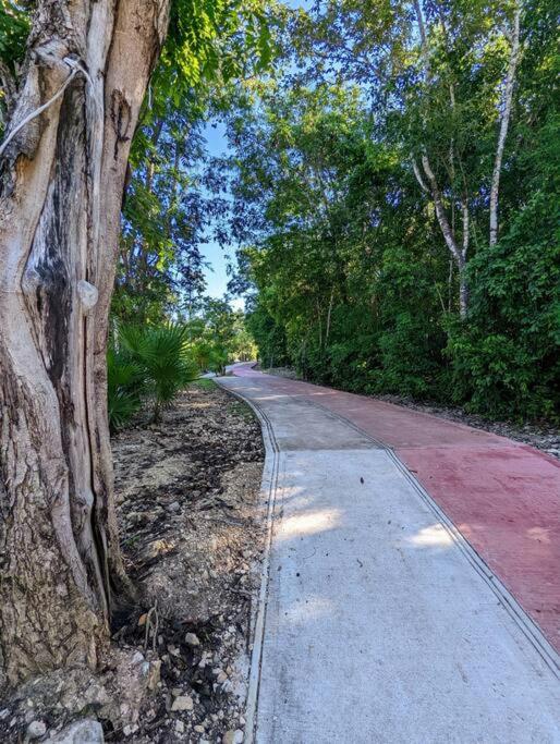 Beautiful 4BR, Up to 8 Guests, Private Pool, 10 min to Beach - Four-Bedroom House - 48