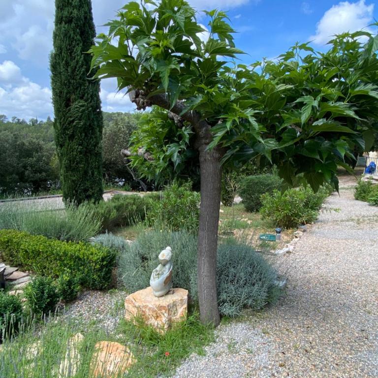 La Magistrale - Appartement - 17