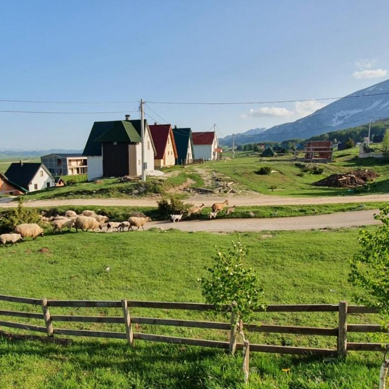 Holiday Home Darko - Vacation Home - 11