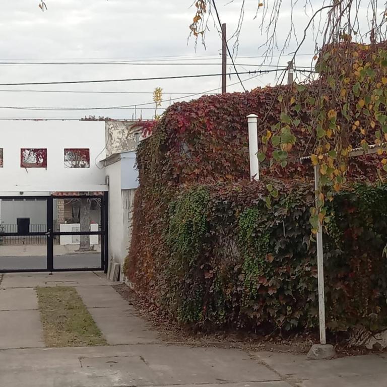 Departamento dos dormitorios con cochera Tres Arroyos -2- - Apartamento de 2 dormitorios - 8