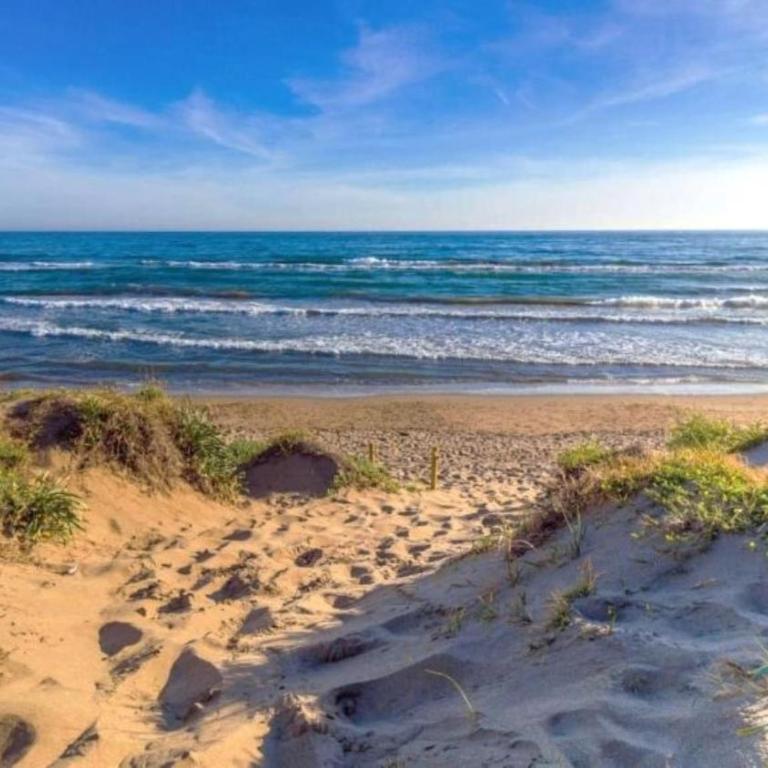 Super2beachfront - Apartamento de 1 dormitorio - 51