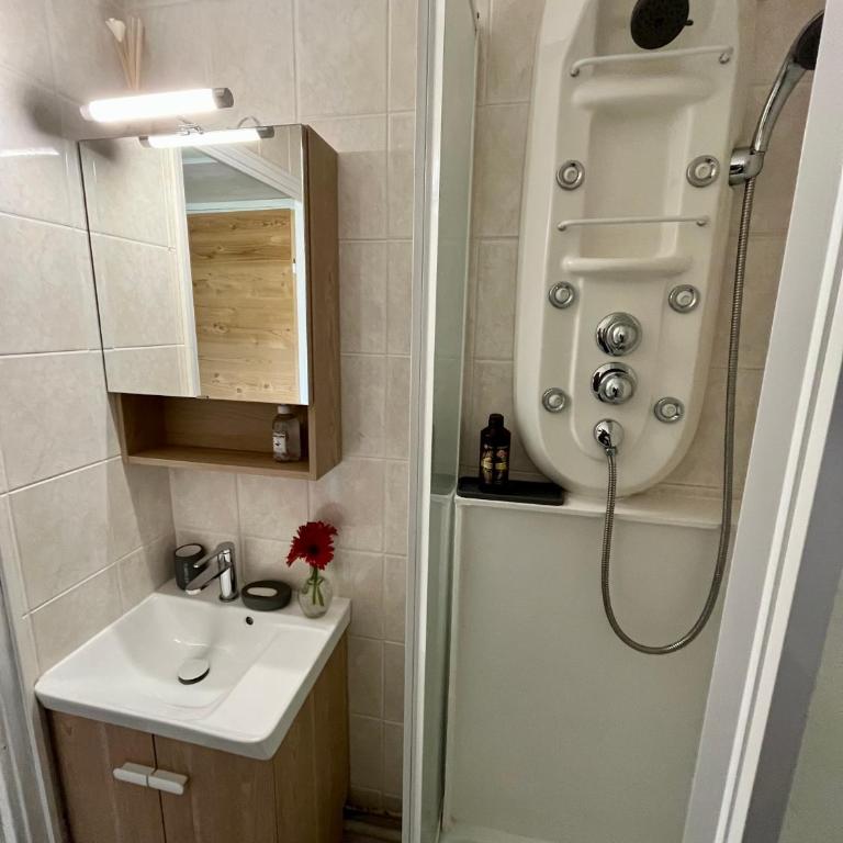 Samoens 1600, ski au pied - Appartamento con 1 Camera da Letto - 14