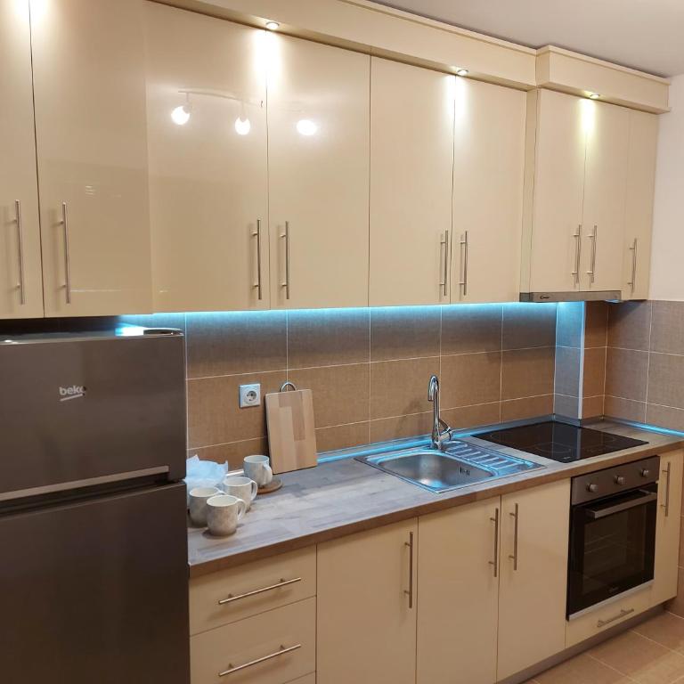 Apartman Atanaskovic - Apartman sa 1 Spavaćom Sobom - 5