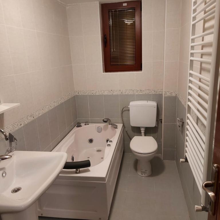 Apartman Atanaskovic - Apartman sa 1 Spavaćom Sobom - 6