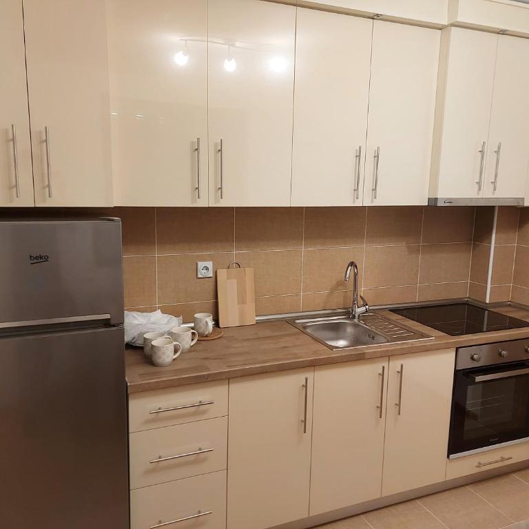 Apartman Atanaskovic - Apartman sa 1 Spavaćom Sobom - 8