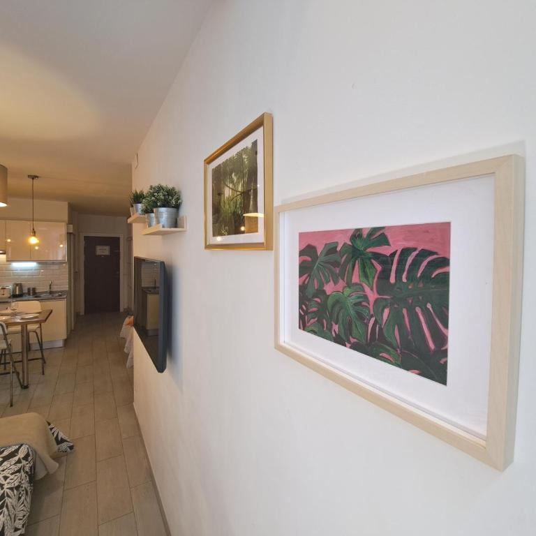 Paralelo 28 - Apartamento Estudio - 14