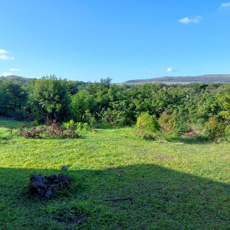 Merahi House Cabañas I - Studio with Garden View - 12
