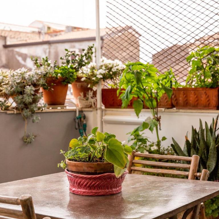 Casadellidria - Apartment with Terrace - 17