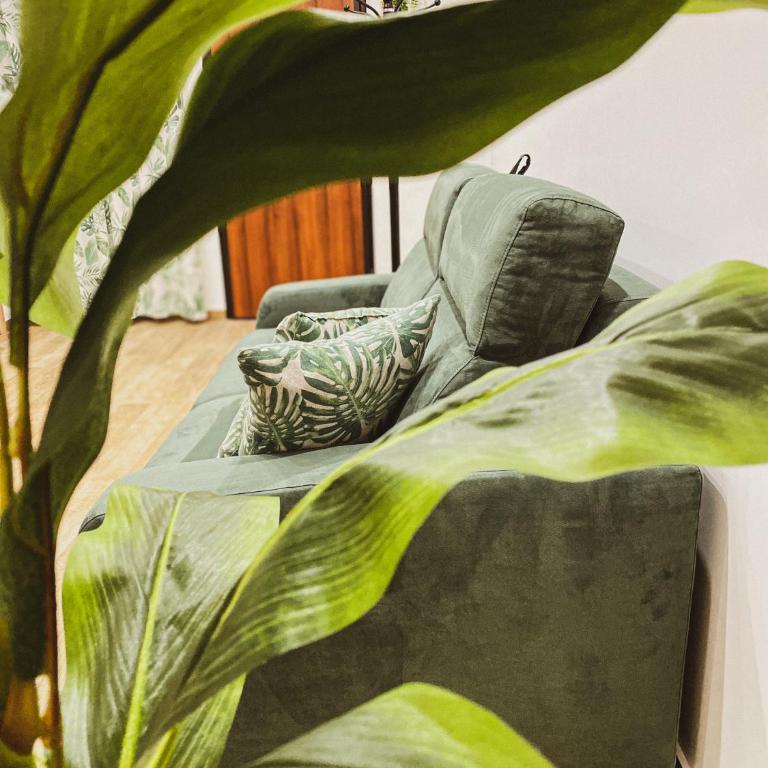 Casa Filomena - One-Bedroom Apartment - 21