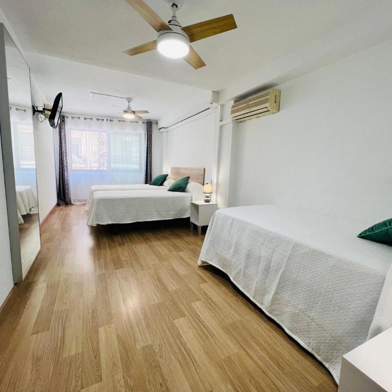 Alicante C41 - Apartment - 5