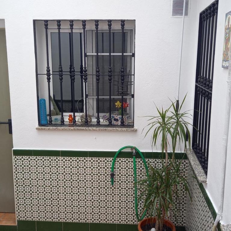 Apartamento Andalucía - Apartamento de 3 dormitorios - 32