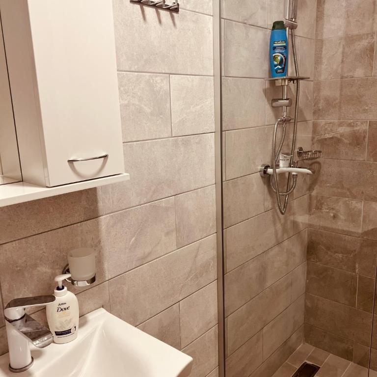 Planinska kuca Colmar - Standard Triple Studio - 9