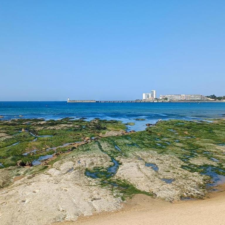 Villa Barriere - Maison a 25m de la Grande plage - Casa de 4 dormitorios - 4