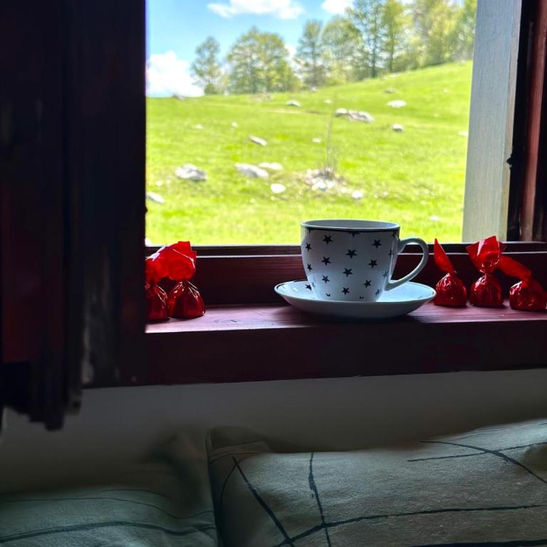 Panoramic Escape House Zabljak - Three-Bedroom House - 28