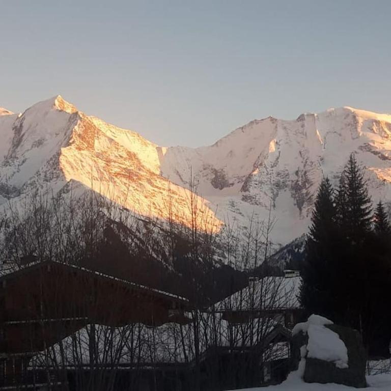 Mon refuge face au Mont Blanc - One-Bedroom Apartment - 21