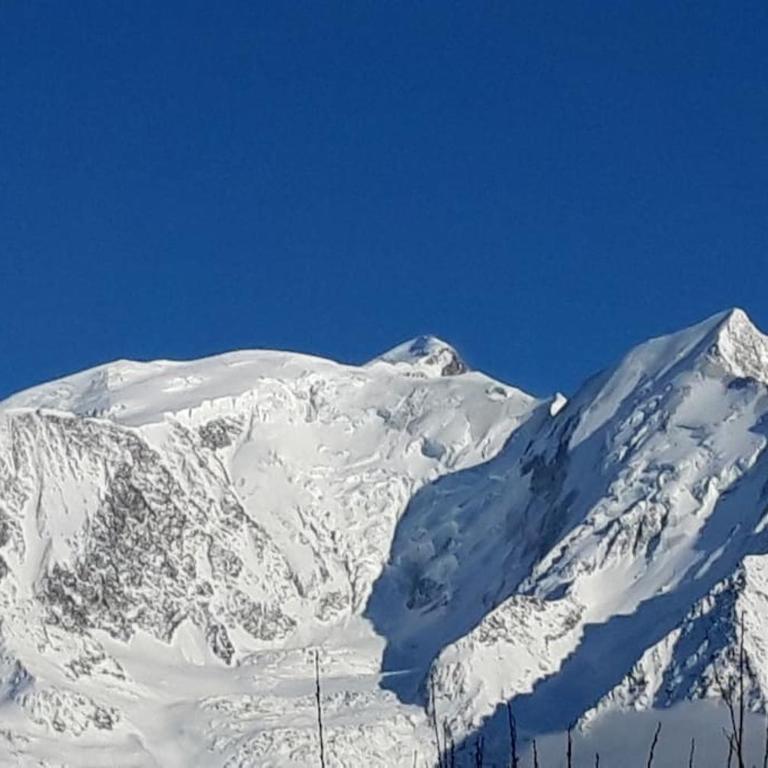 Mon refuge face au Mont Blanc - One-Bedroom Apartment - 28