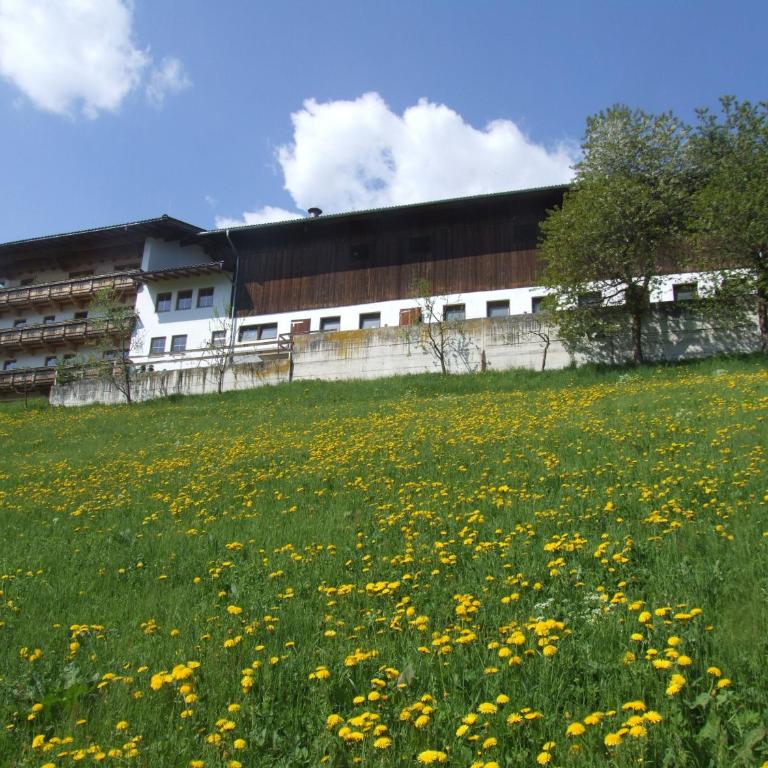 Ferienwohnung Lehenhof - Appartamento con 1 Camera da Letto - 26