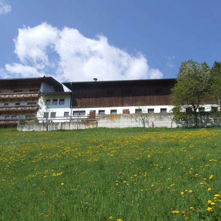 Ferienwohnung Lehenhof - Appartamento con 1 Camera da Letto - 28