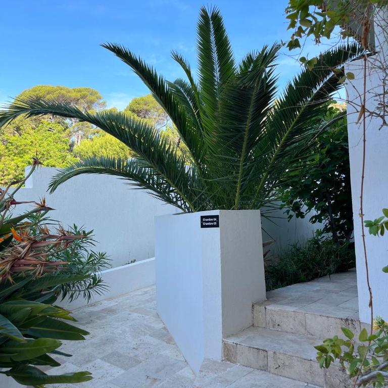 Villa Paradis - Chambre Double - Vue sur Jardin - 18
