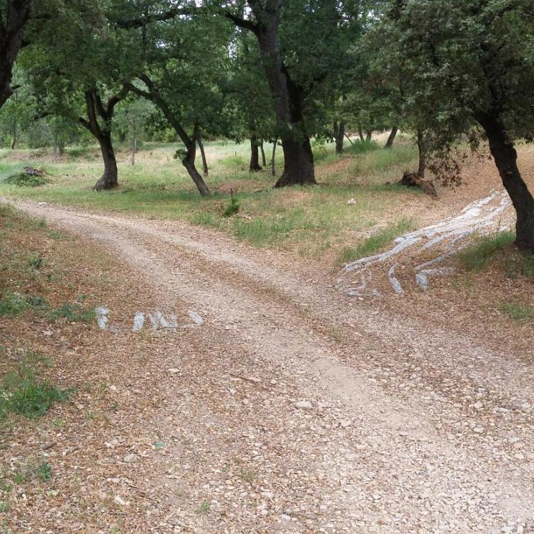 Domaine Bastide Blanche - Apartamento de 3 dormitorios - 14