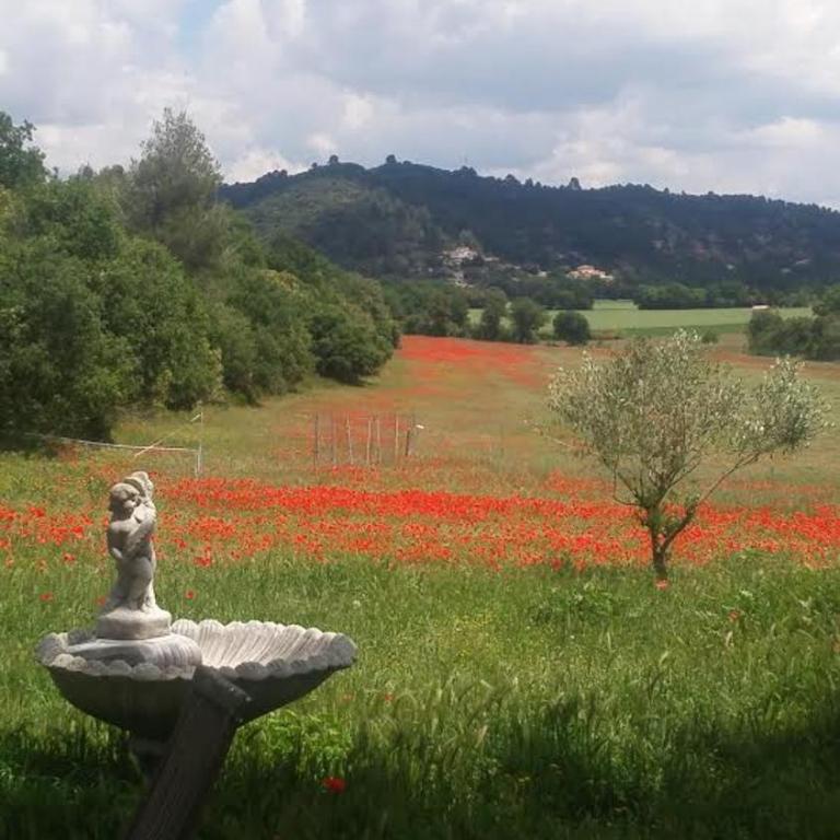 Domaine Bastide Blanche - Apartamento de 3 dormitorios - 15