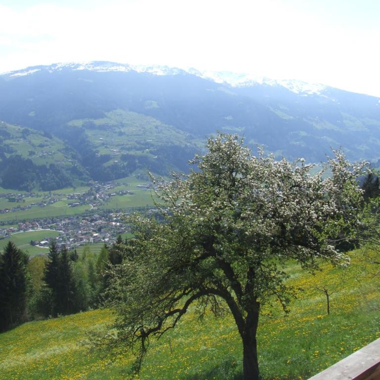 Ferienwohnung Lehenhof - Appartamento con 1 Camera da Letto - 36