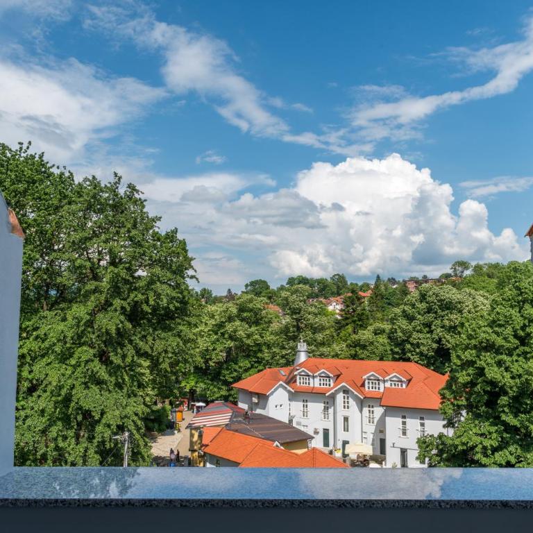 Emilia Lux Rooms - Deluks Soba sa Bračnim Krevetom (King-size) - 1