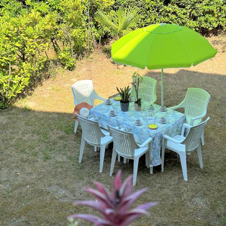 Villa Rembrandt - Appartamento - 13