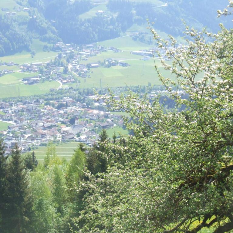 Ferienwohnung Lehenhof - Appartamento con 1 Camera da Letto - 27