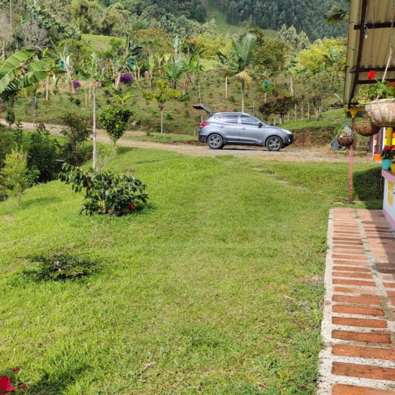 Finca La Antigua. finca tradicional Cafetera - Casa de 4 dormitorios - 47