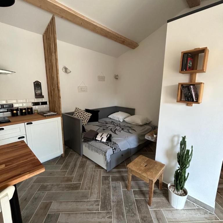 Charmant Studio dans villa - jardin privatif . - Appartement 1 Chambre - 9