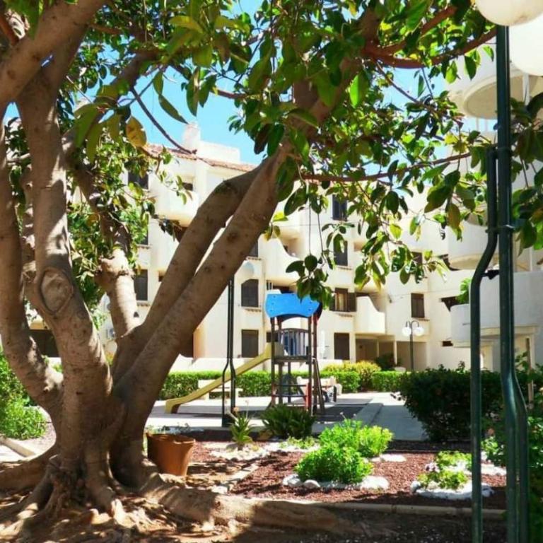 Acogedor apartamento en la Playa. Urbanización La Felicidad. Las Marinas - Apartamento de 2 dormitorios - 15