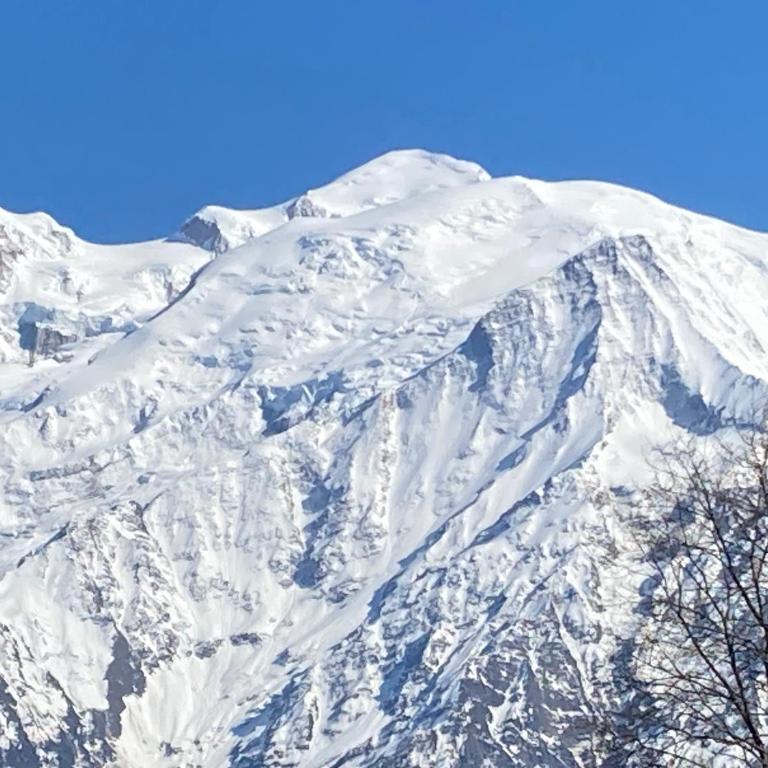 Les Edelweiss Mont-Blanc - Gîte Classé 3 Etoiles - Suite con Vista Montagna - 3