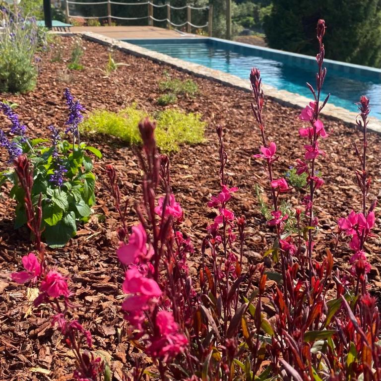 Pena De Roca - Four-Bedroom House - 2
