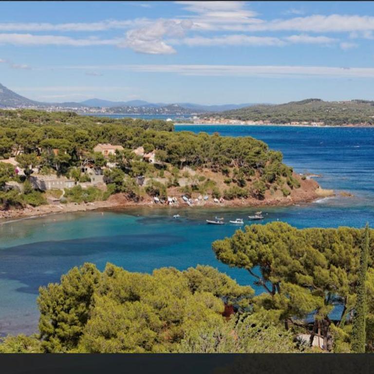 Charmant Studio dans villa - jardin privatif . - Appartement 1 Chambre - 21