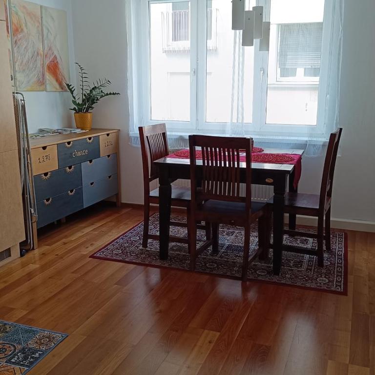 Moderne und schöne Wohnung - Apartment mit 1 Schlafzimmer - 24